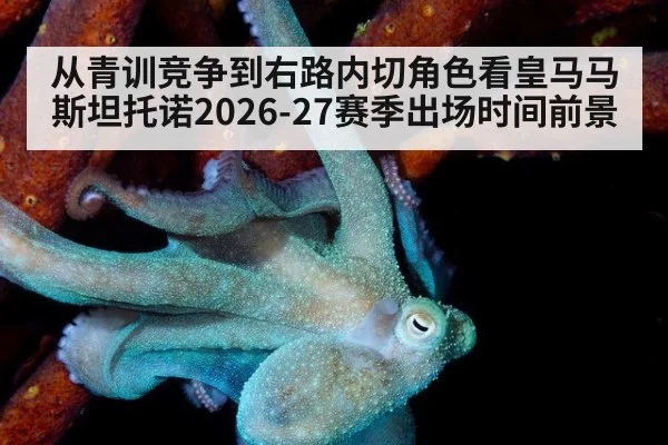 从青训竞争到右路内切角色看皇马马斯坦托诺2026-27赛季出场时间前景